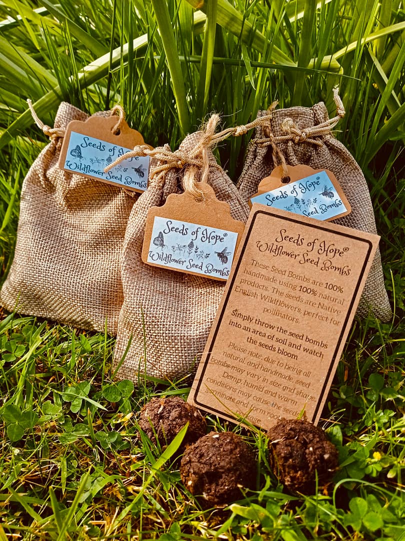 Native Wildflower Seed Bombs - Seed of Hope CIC